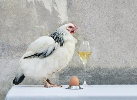 Krug_EggBook00