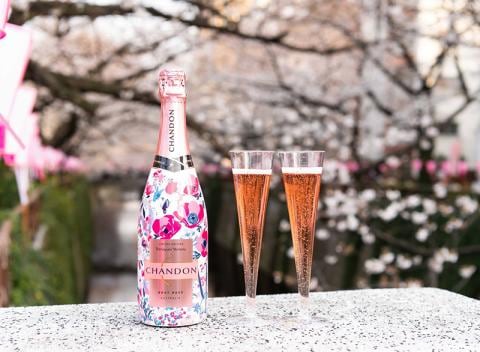 Ohanami Chandon in Hokkaido_00