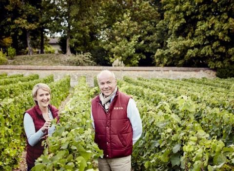krug-New-Winemaking-Organization