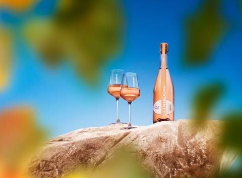 chandon_chantdescigales00