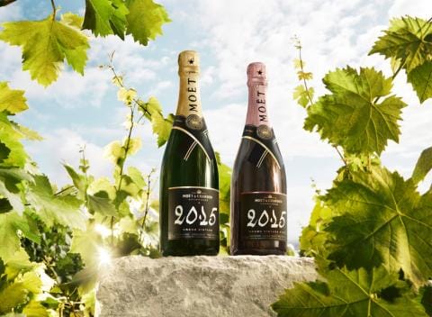 moet_20230216_main
